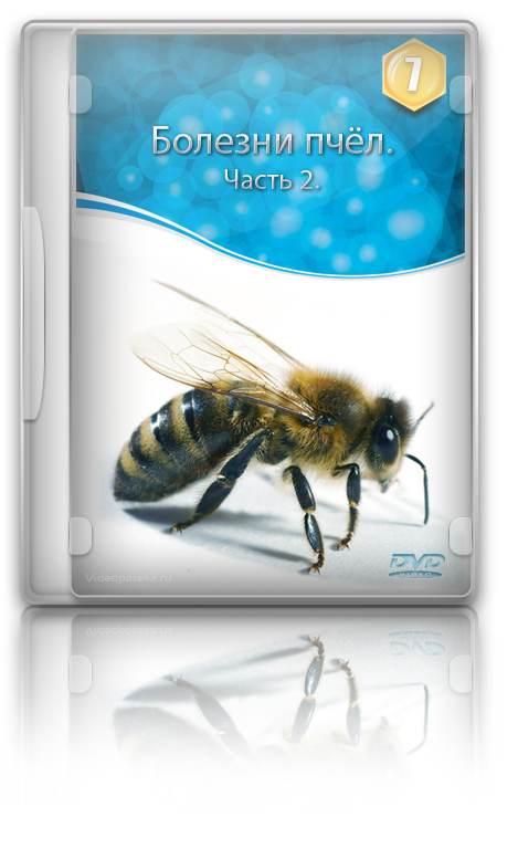 7 DVD: Болезни пчёл: диагностика, оздоровление, профилактика. Часть 2.