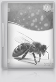 7 DVD: Болезни пчёл: диагностика, оздоровление, профилактика. Часть 2.